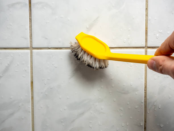 Best Certified Mold Removal  in Connellsville, PA