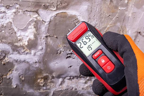 Best Attic Mold Removal  in Connellsville, PA