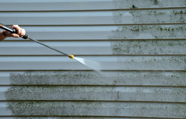 Certified Mold Removal in Connellsville, PA
