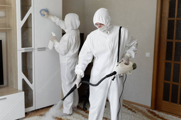 Mold Removal Process in Connellsville, PA