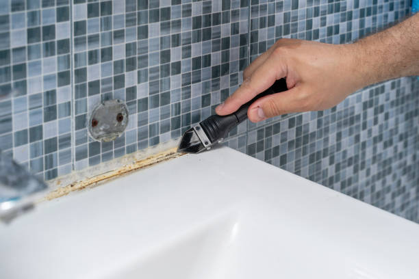 Best Mold Damage Repair  in Connellsville, PA