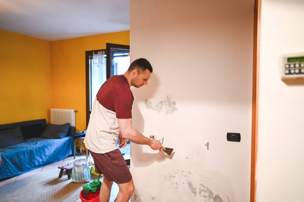 Reliable Connellsville, PA Mold Removal Solutions